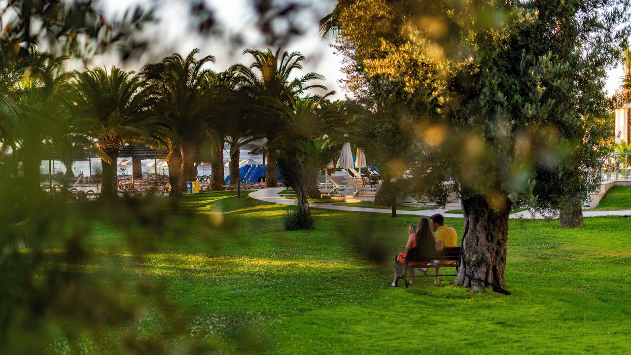 Photo of Outdoor in Torba