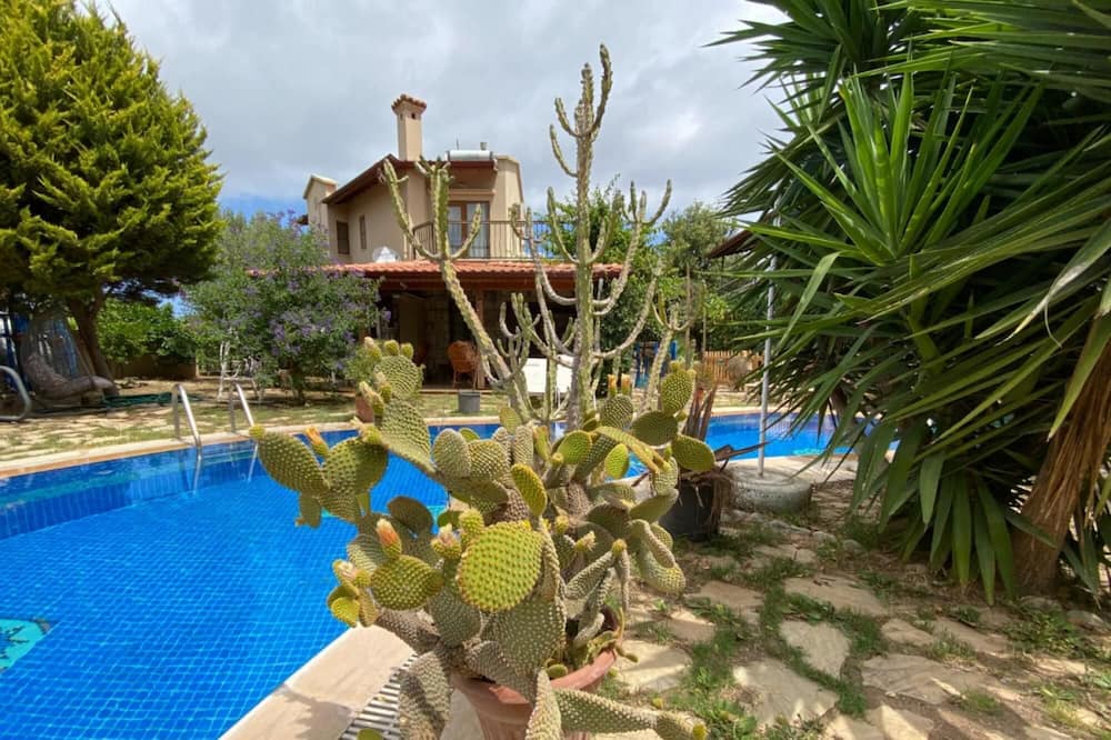 Photo of Outdoor in Old Datca