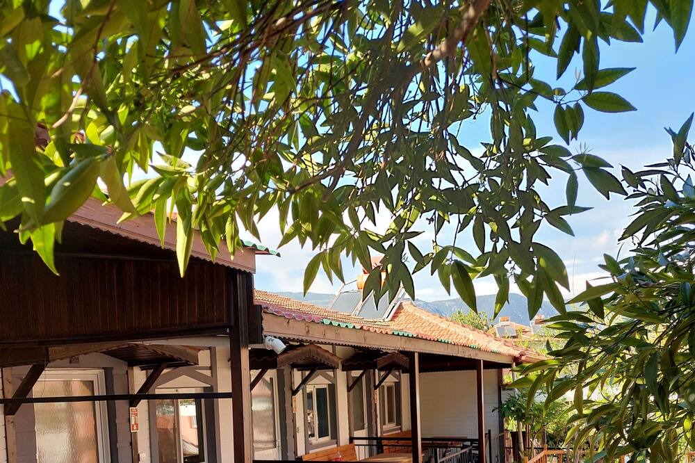 Photo of Outdoor in Ula