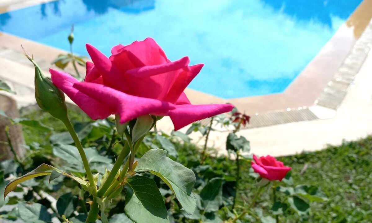 Photo of Outdoor in Kusadasi City Centre