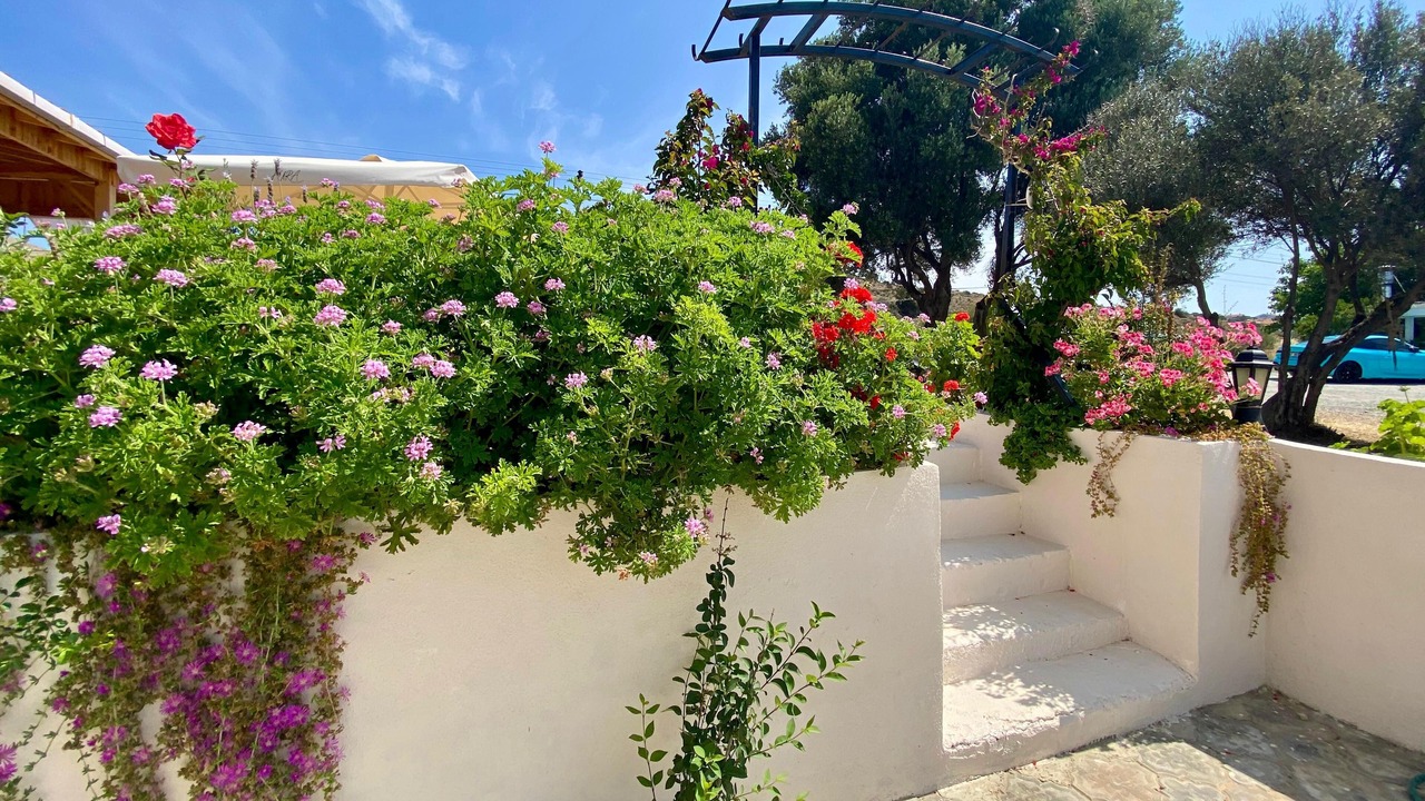 Photo of Outdoor in Bozcaada