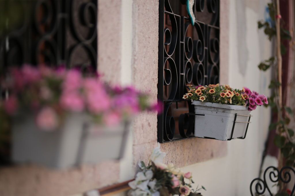 Photo of Outdoor in Ayvalik City Center