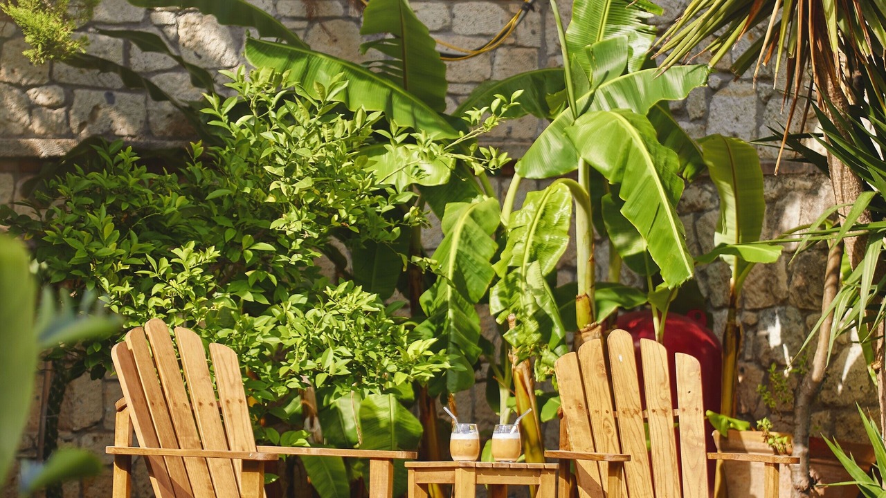 Photo of Outdoor in Hacımemis