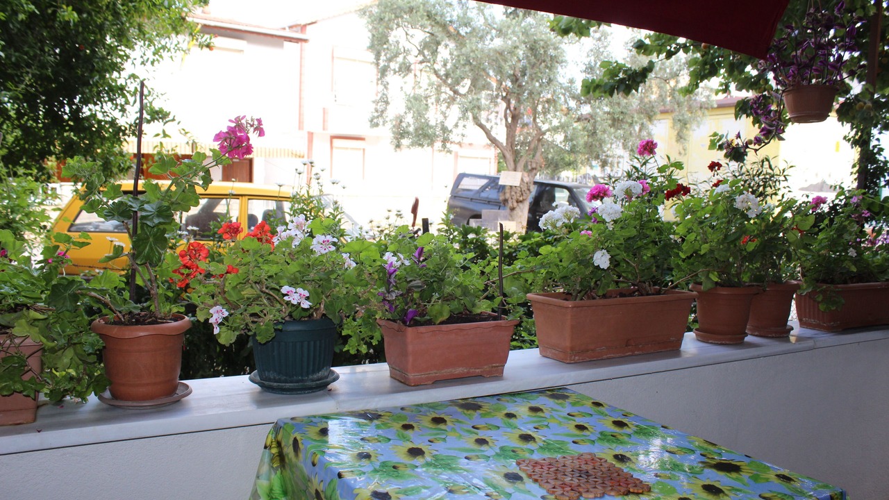 Photo of Outdoor in Marmara