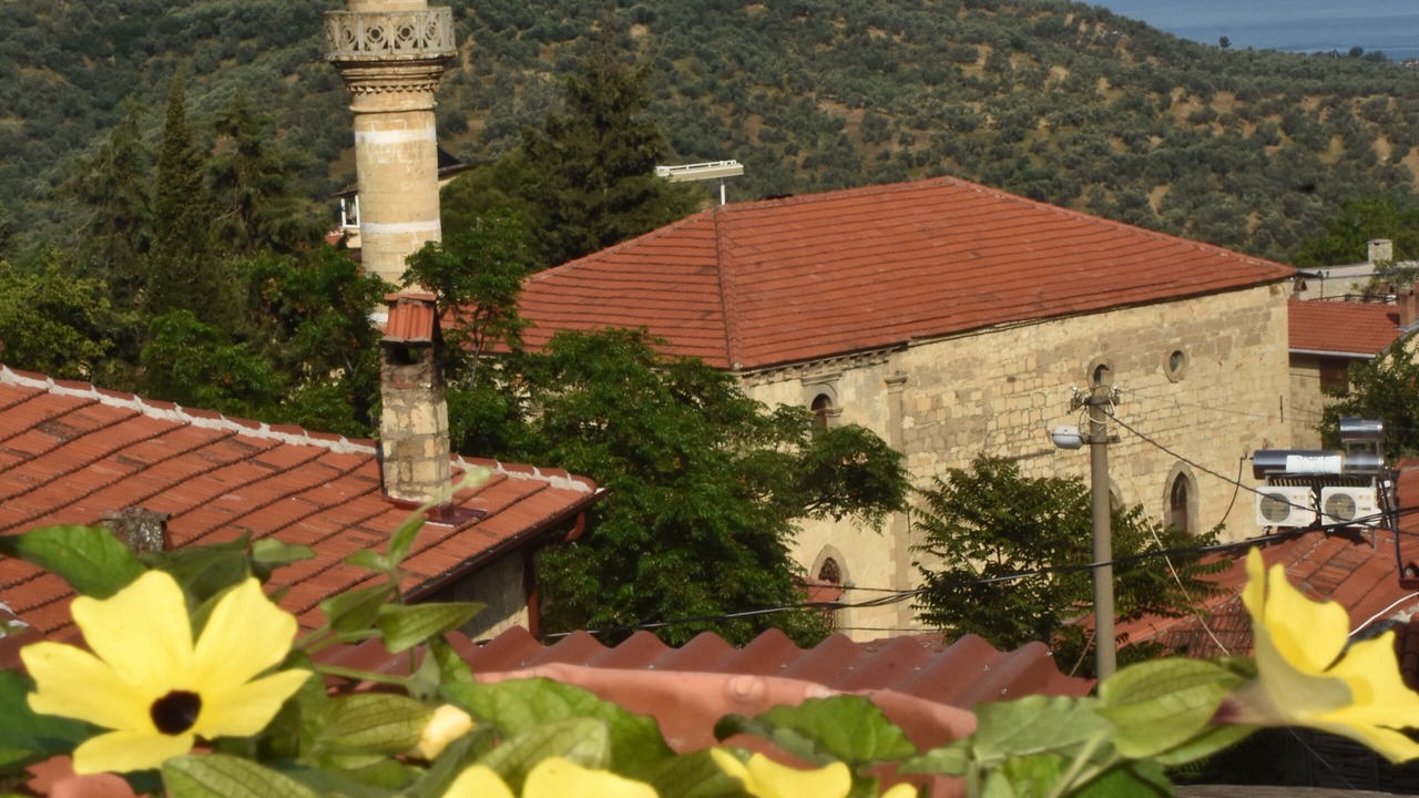 Photo of Outdoor in Yesilyurt Koyu