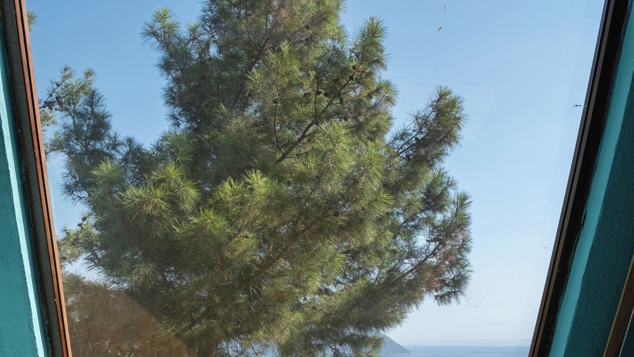 Photo of Bedroom in Kabak Valley