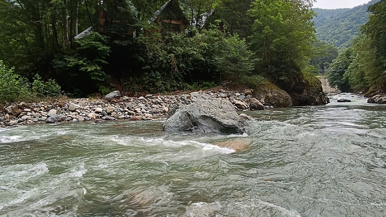 Photo of Outdoor in Pazar