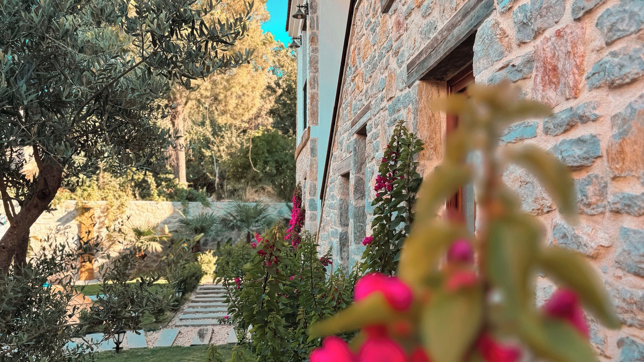 Photo of Outdoor in Old Datca