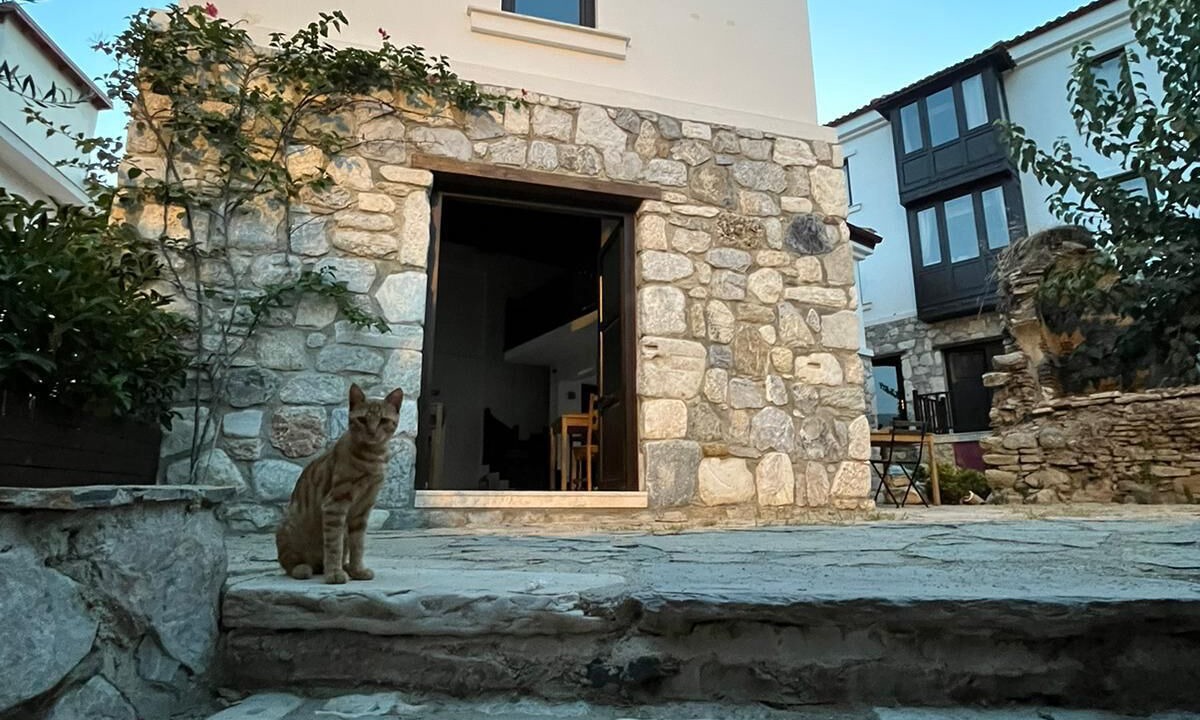 Photo of Outdoor in Selcuk