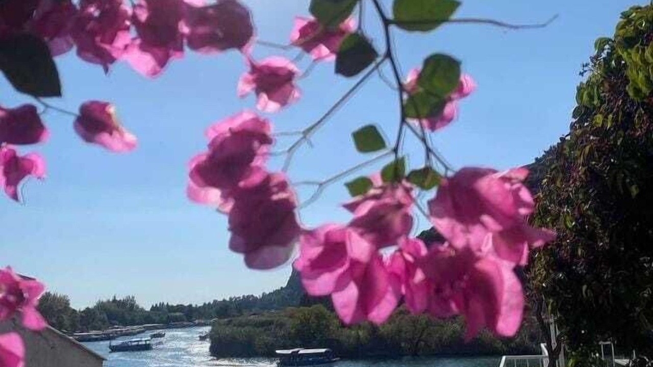Photo of Outdoor in Dalyan City Center