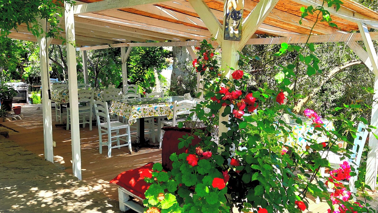 Photo of Outdoor in Bozcaada