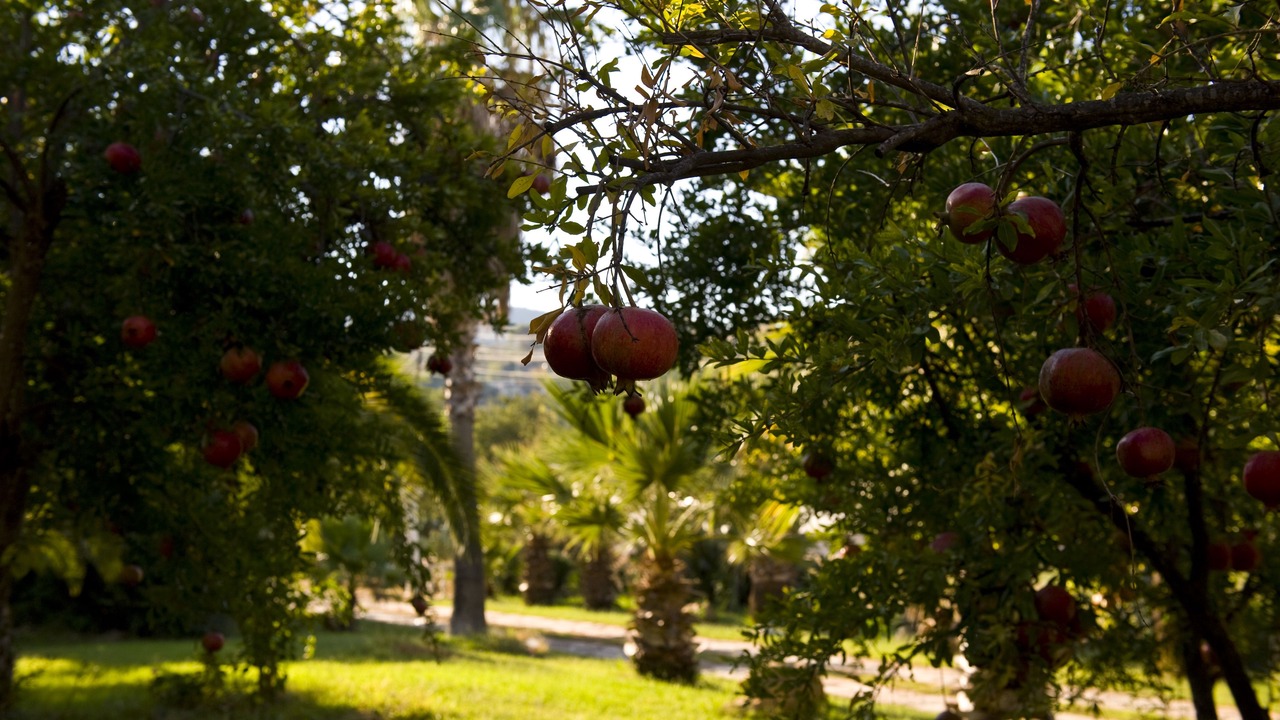 Photo of Outdoor in Patara
