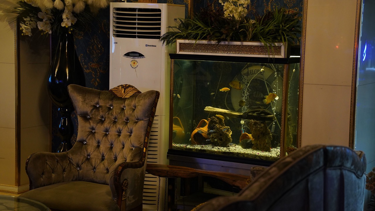 Photo of Others in Silivri