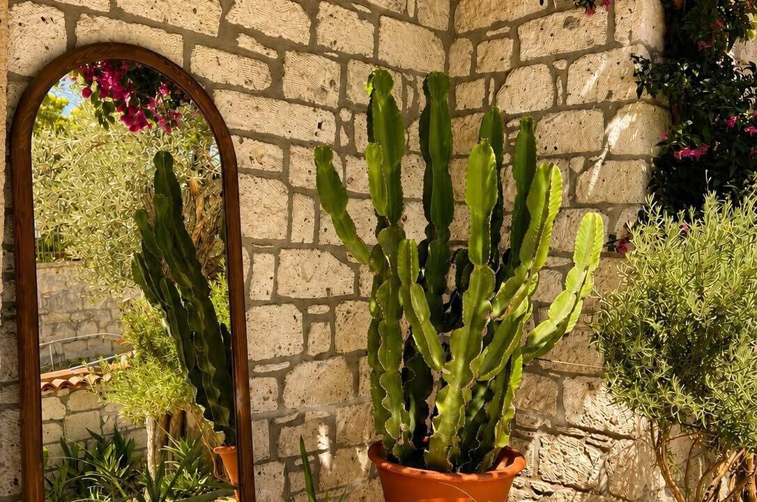 Photo of Outdoor in Tokoglu