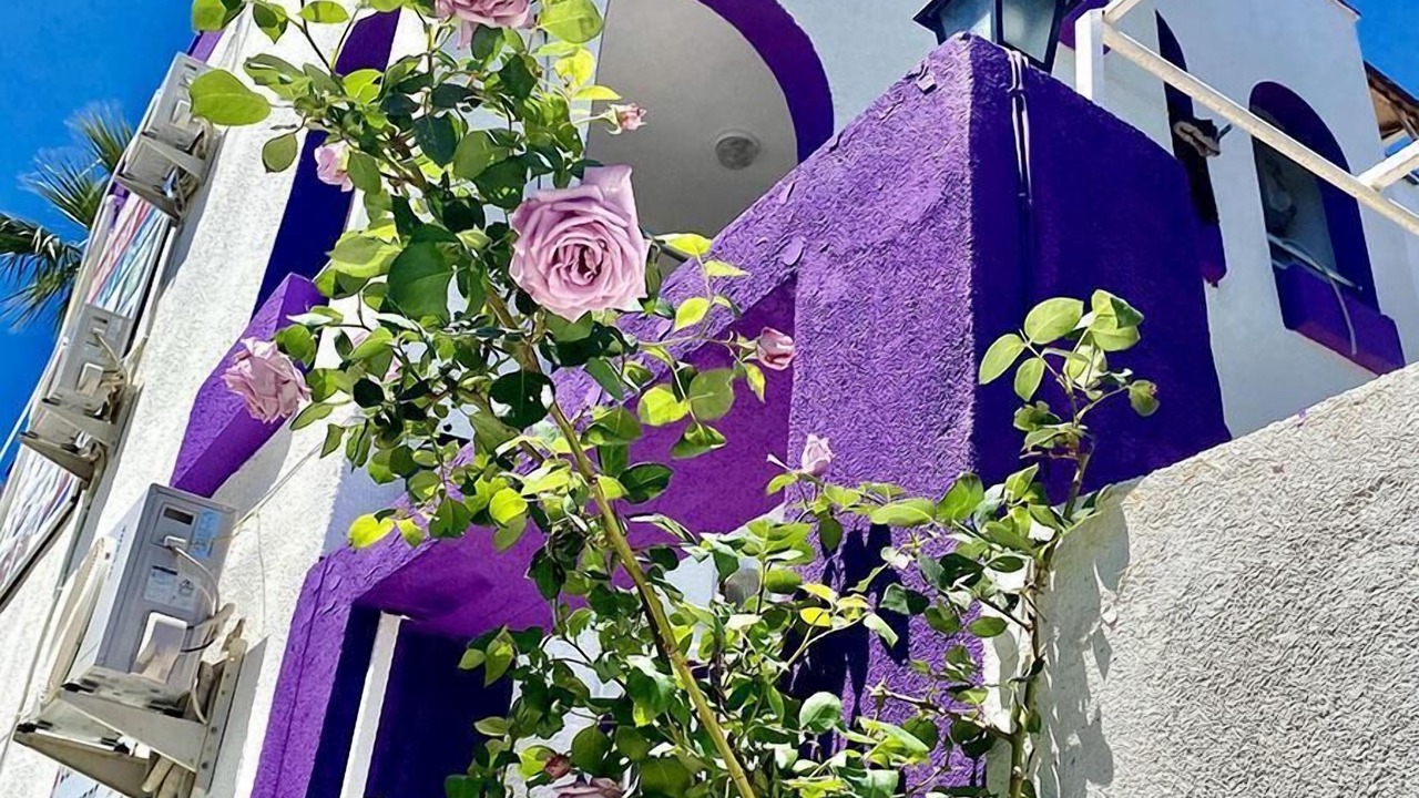 Photo of Outdoor in Ayvacik