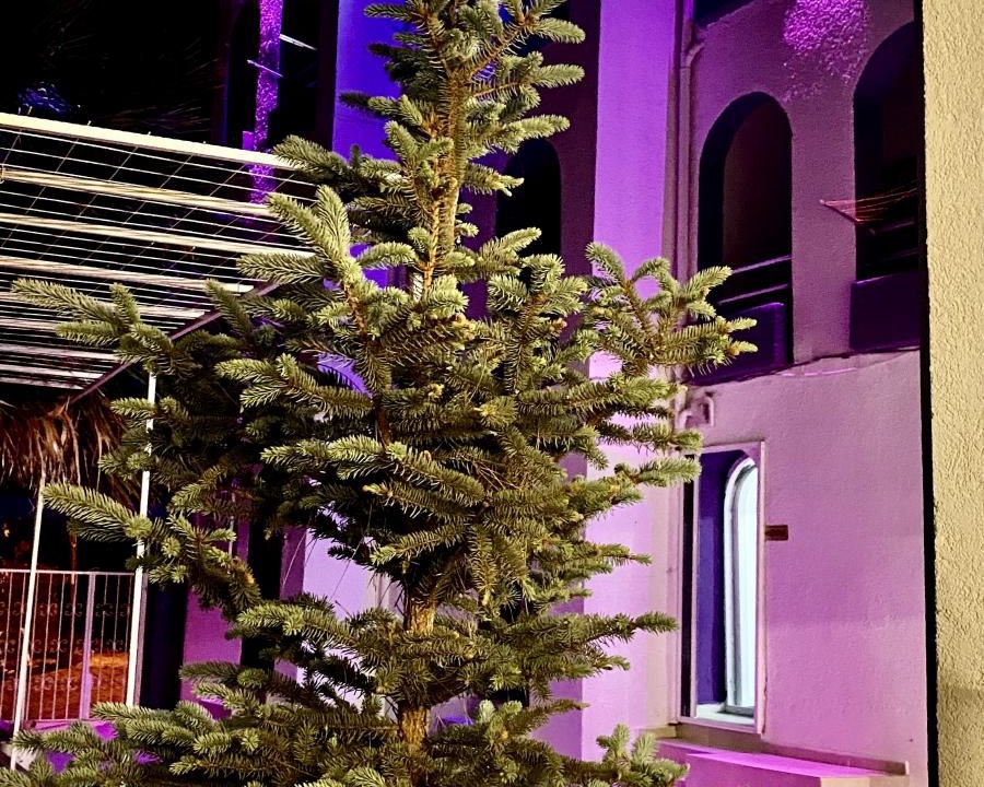 Photo of Outdoor in Ayvacik