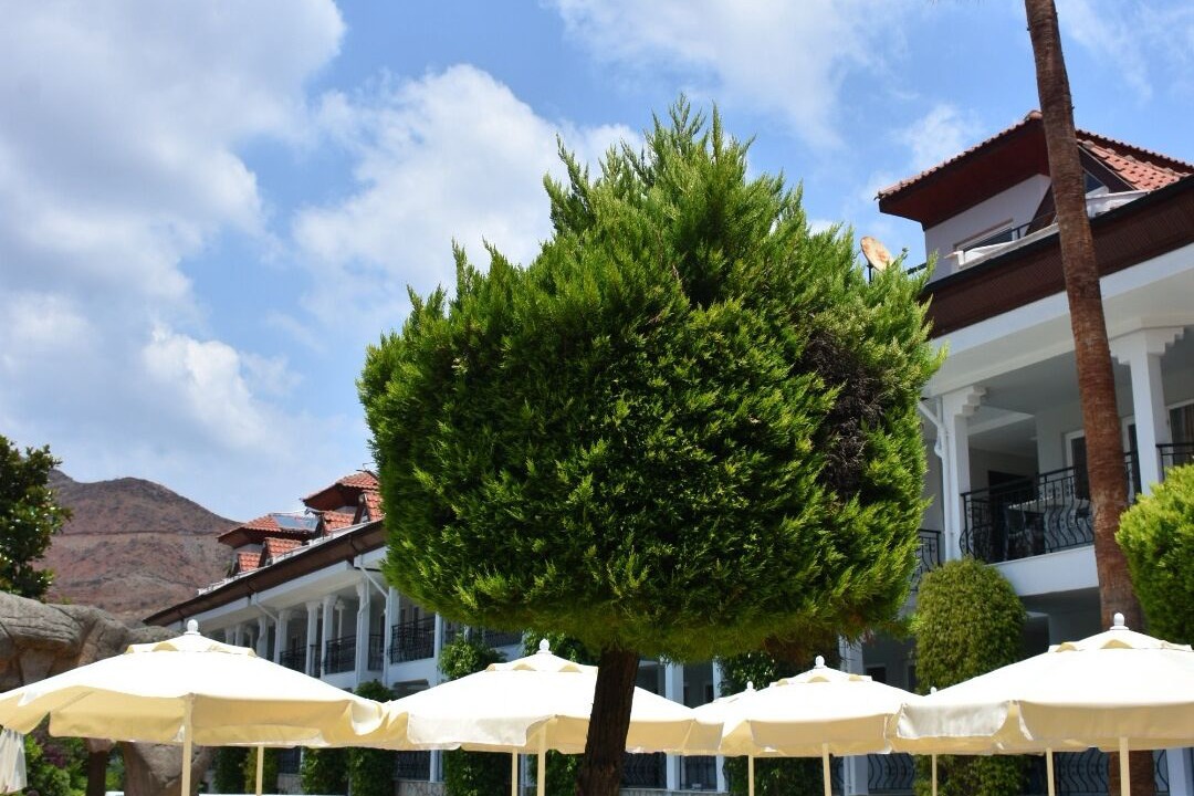 Photo of Outdoor in Icmeler