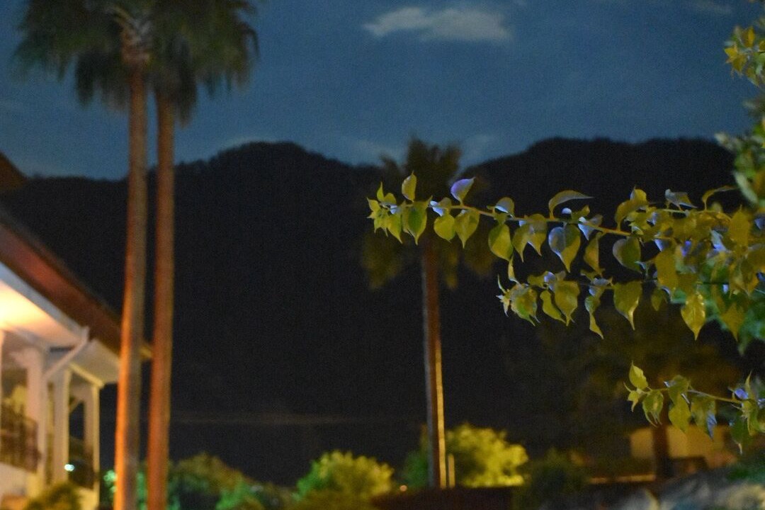 Photo of Outdoor in Icmeler