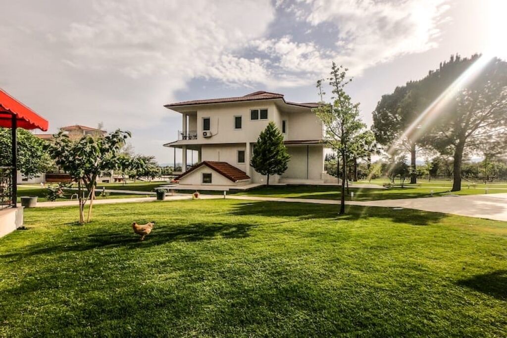 Photo of Outdoor in Koycegiz