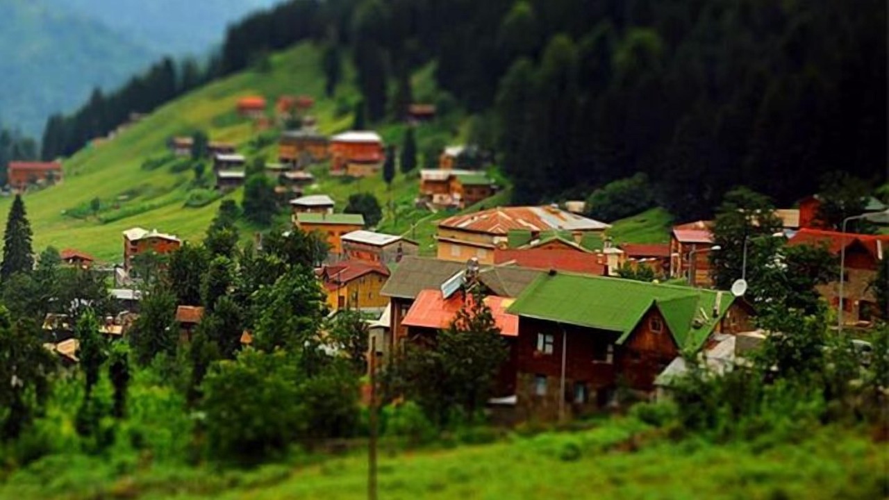 Photo of Outdoor in Trabzon City Center