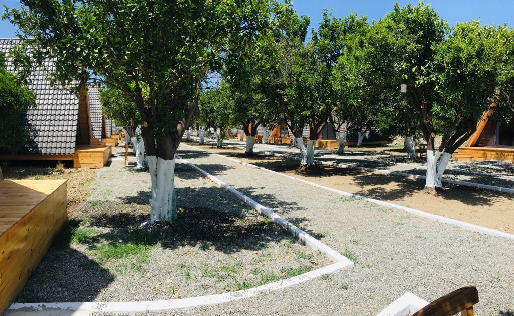 Photo of Outdoor in Datca