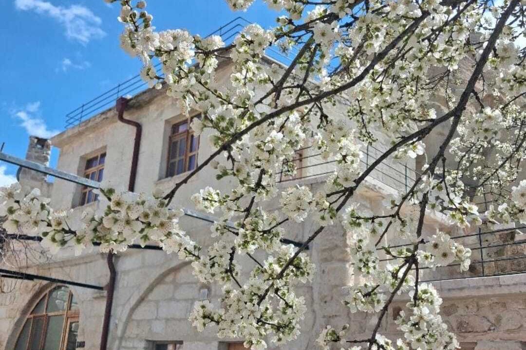 Photo of Outdoor in Urgup