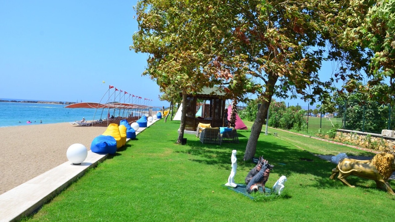 Photo of Others in Okurcalar