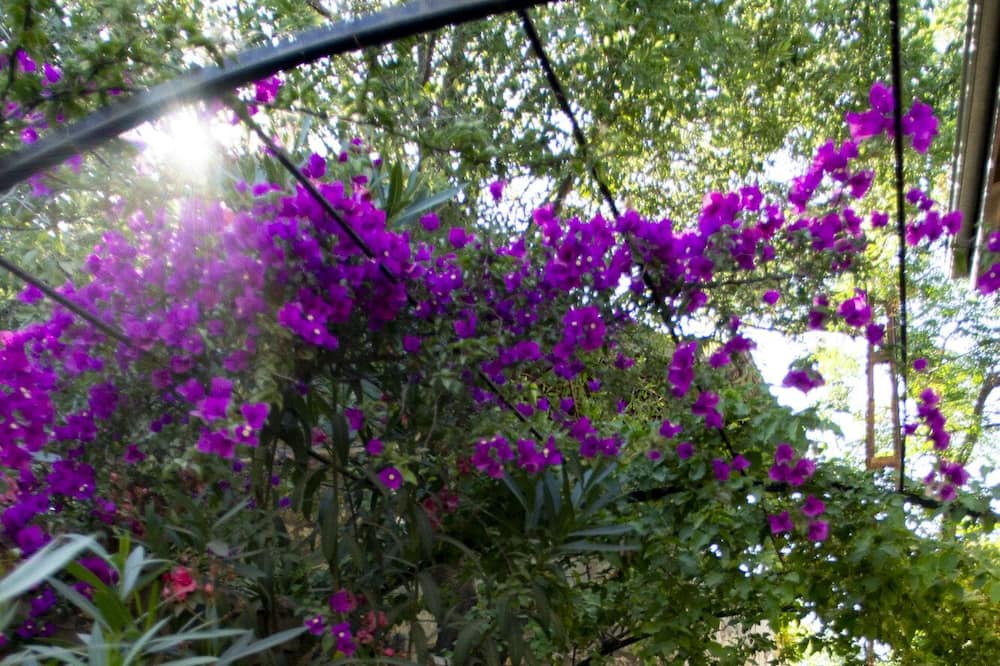 Photo of Outdoor in Old Datca