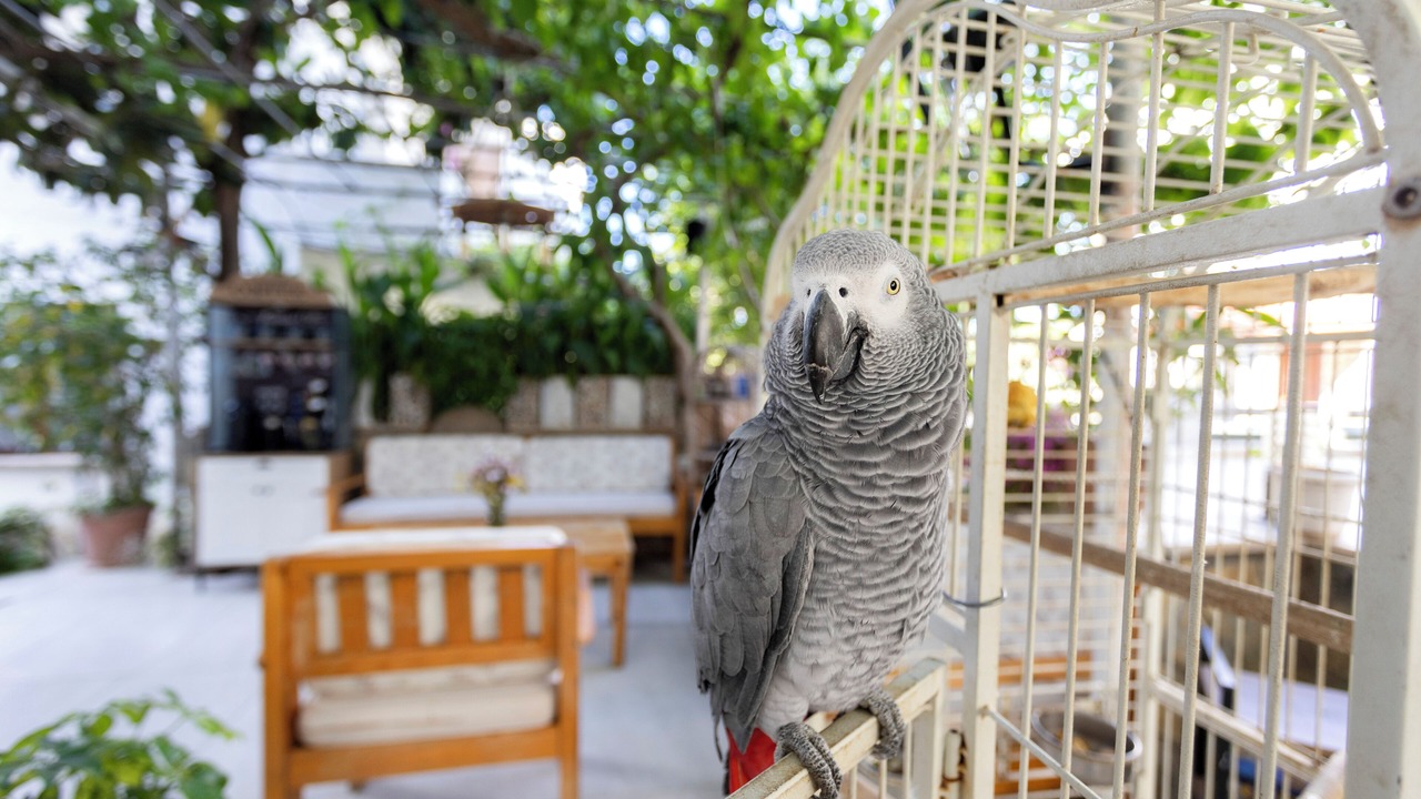 Photo of Outdoor in Datca City Center