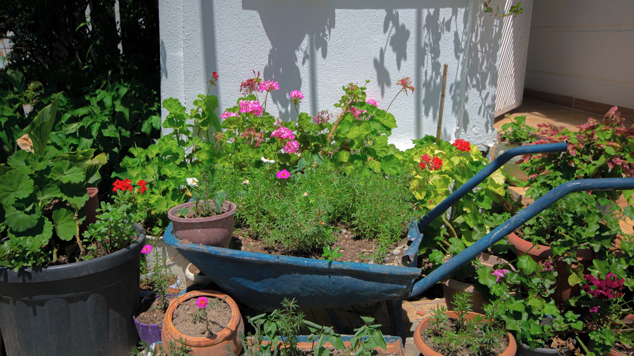 Photo of Outdoor in Datca City Center