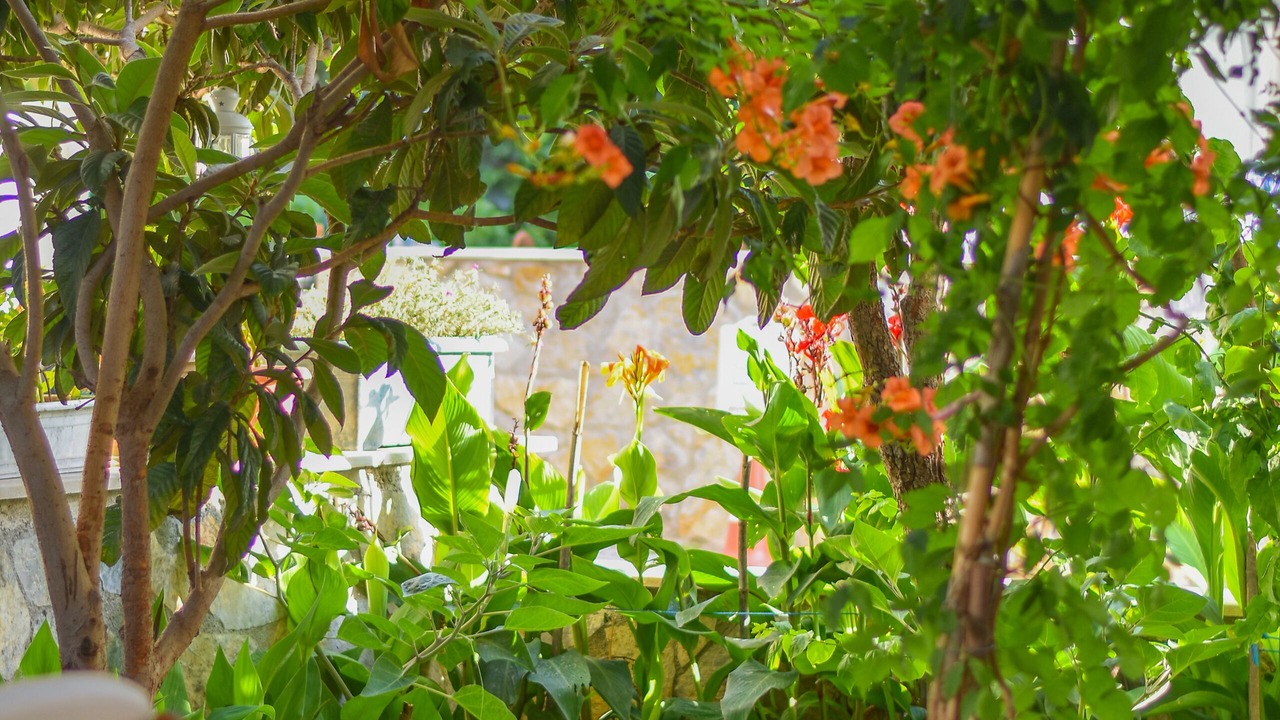 Photo of Outdoor in Datca City Center