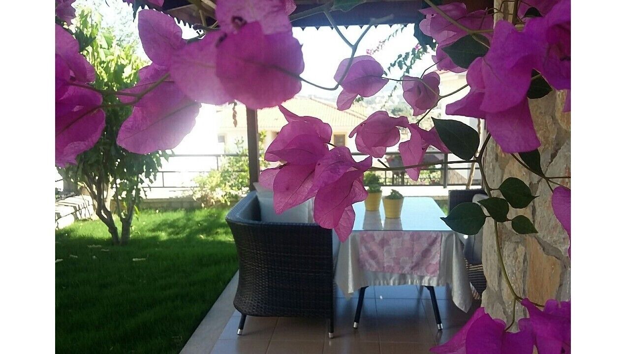 Photo of Outdoor in Datca