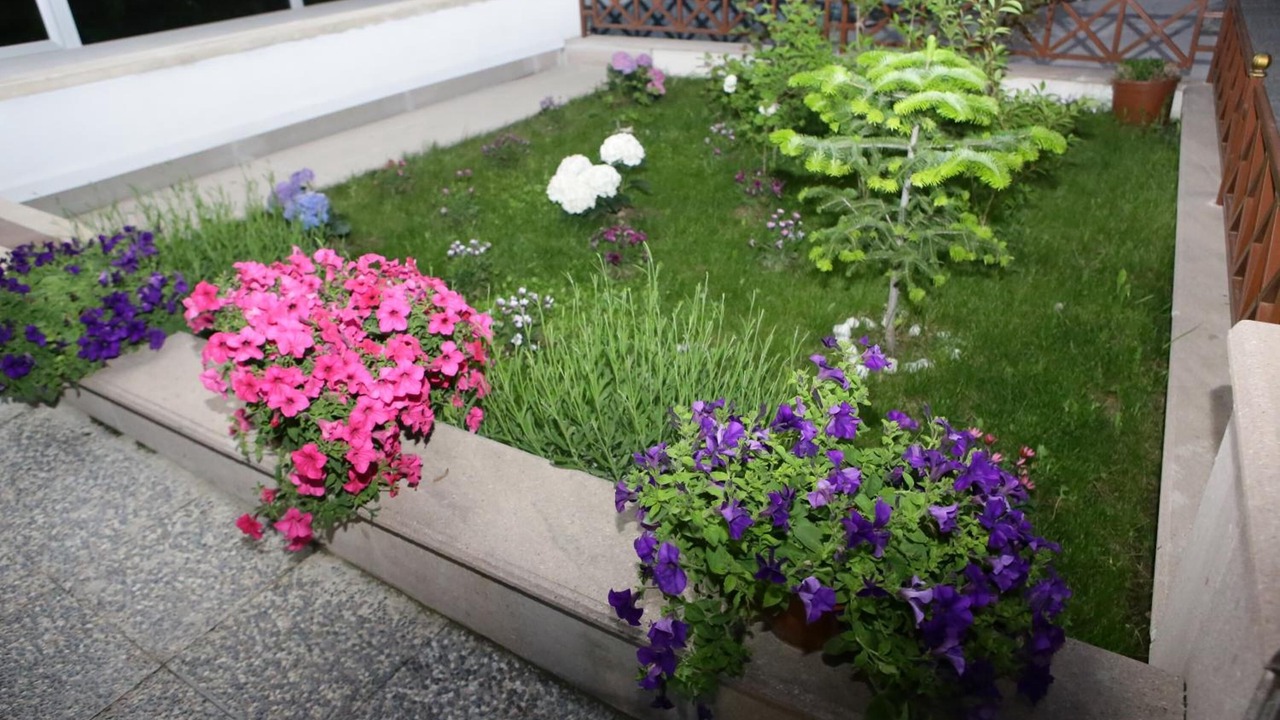 Photo of Outdoor in Cankaya
