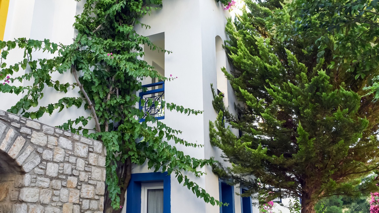 Photo of Outdoor in Datca City Center