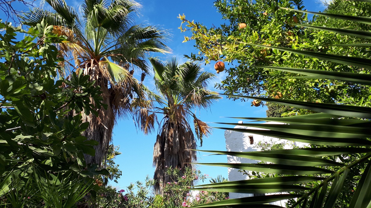Photo of Outdoor in Old Datca