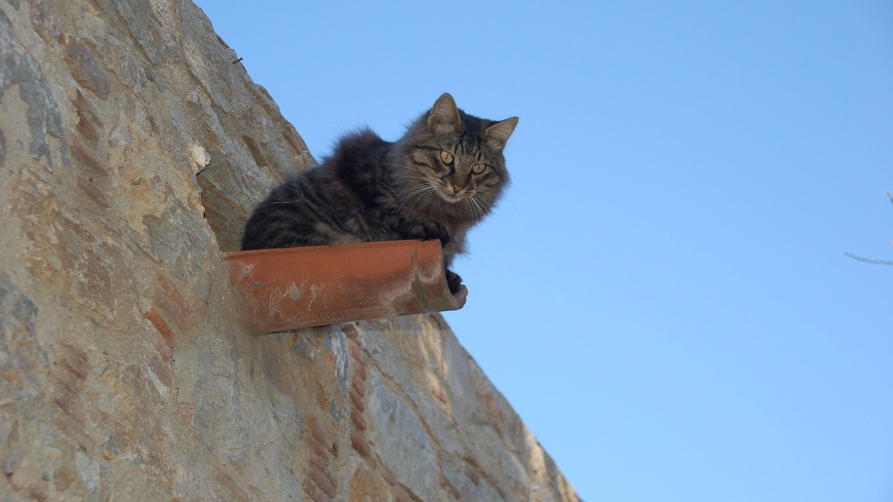 Photo of Outdoor in Old Datca