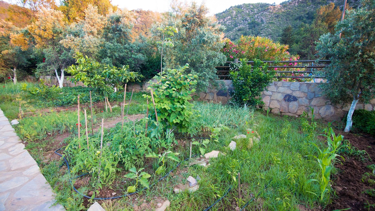 Photo of Outdoor in Orhaniye