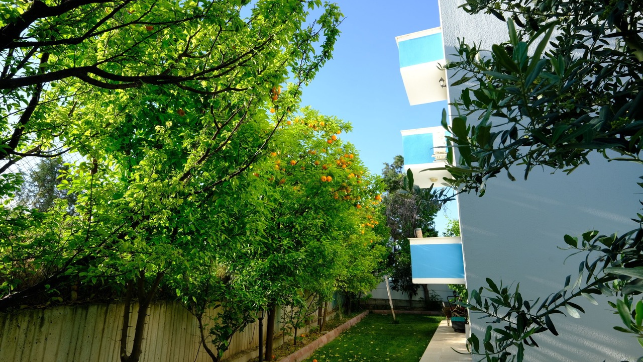 Photo of Outdoor in Pamukkale City Centre