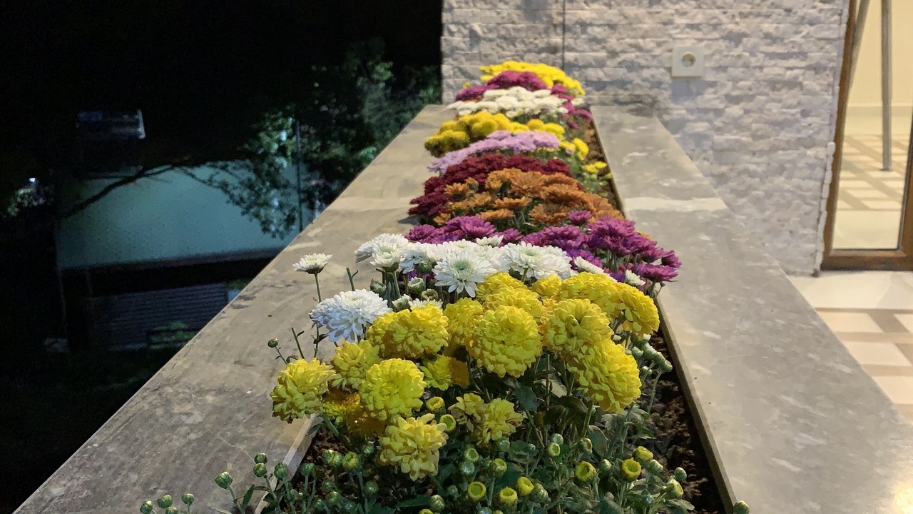 Photo of Outdoor in Yalova