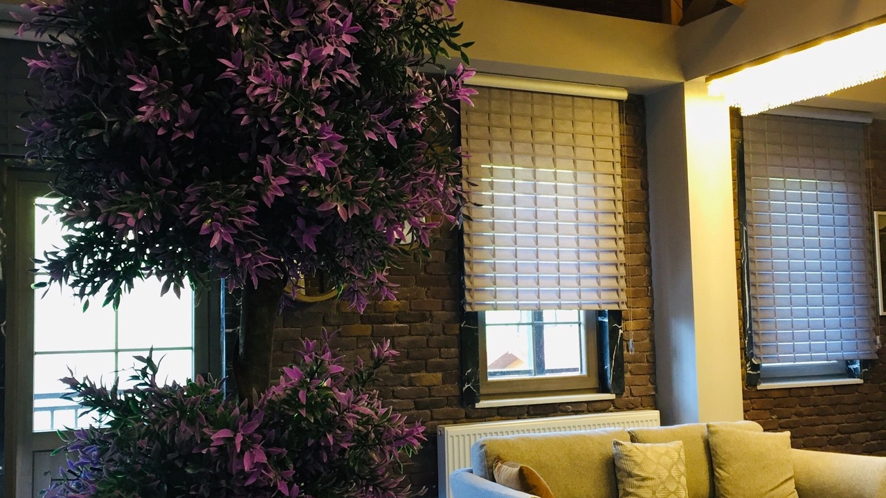 Photo of Bedroom in Caykara