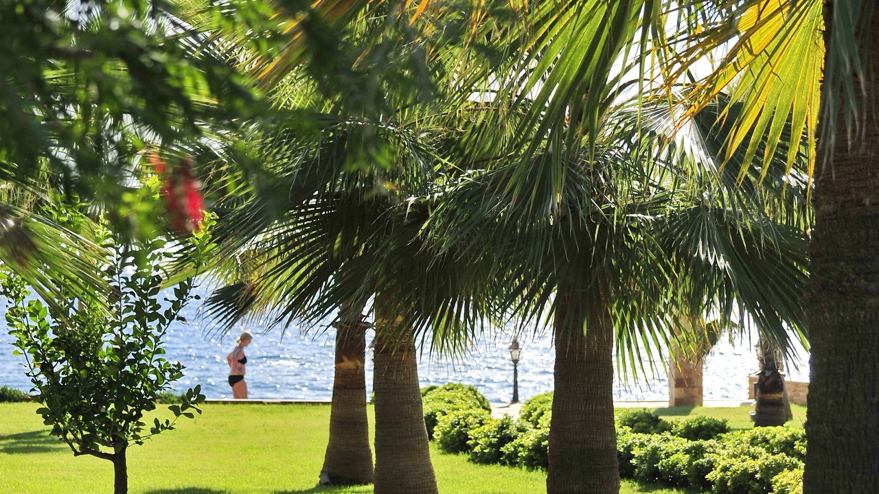 Photo of Outdoor in Alanya