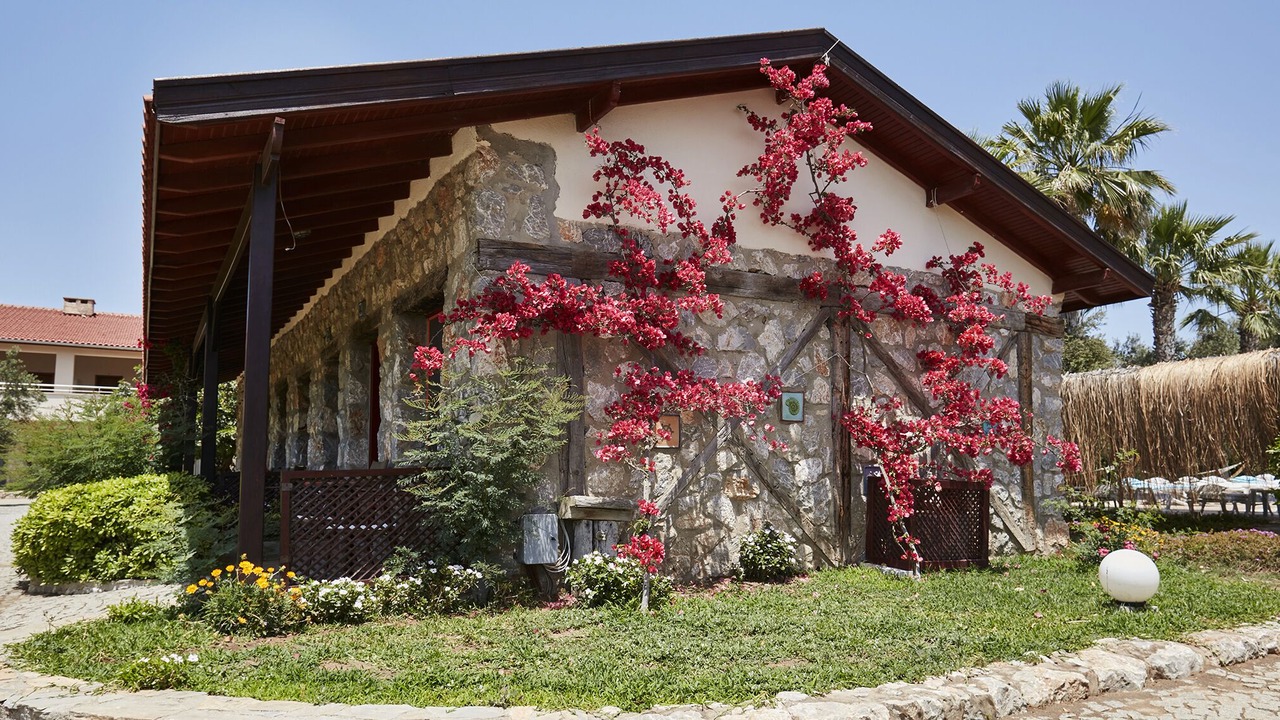 Photo of Bedroom in Datca