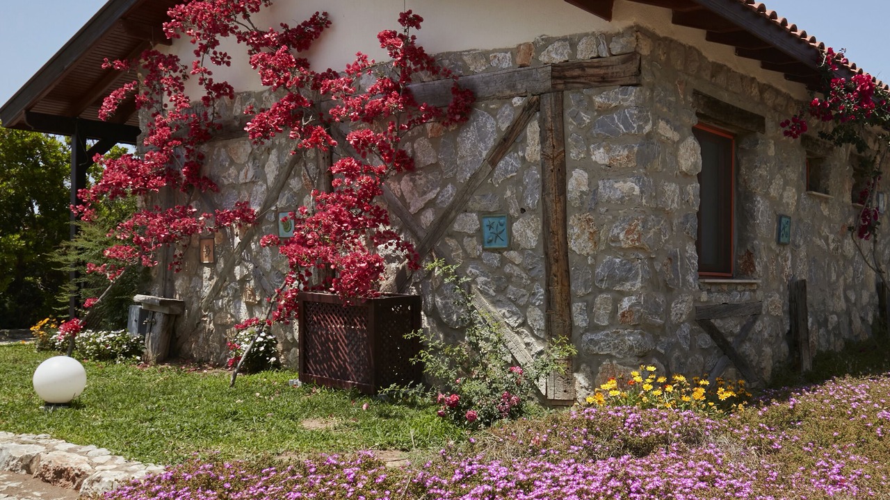 Photo of Bedroom in Datca