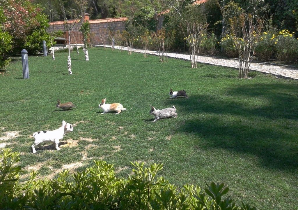 Photo of Outdoor in Atakoy