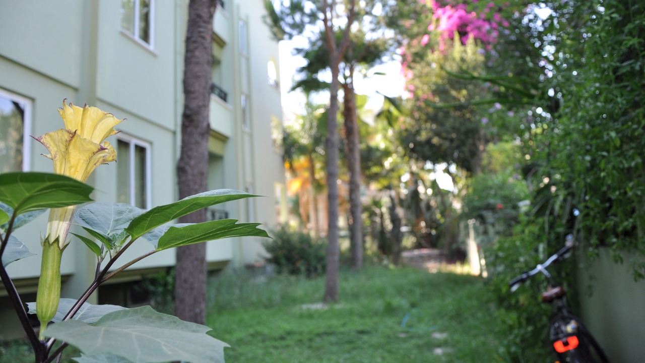 Photo of Outdoor in Marmaris City Center