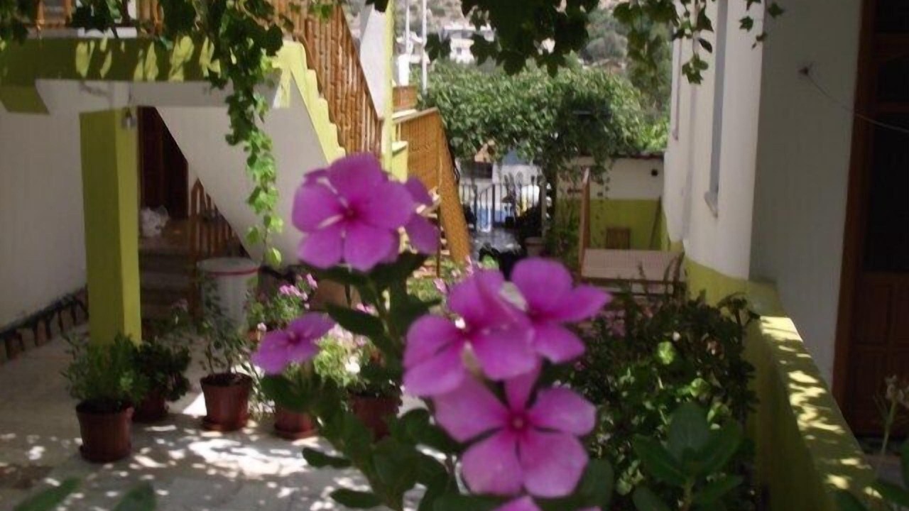Photo of Outdoor in Patara
