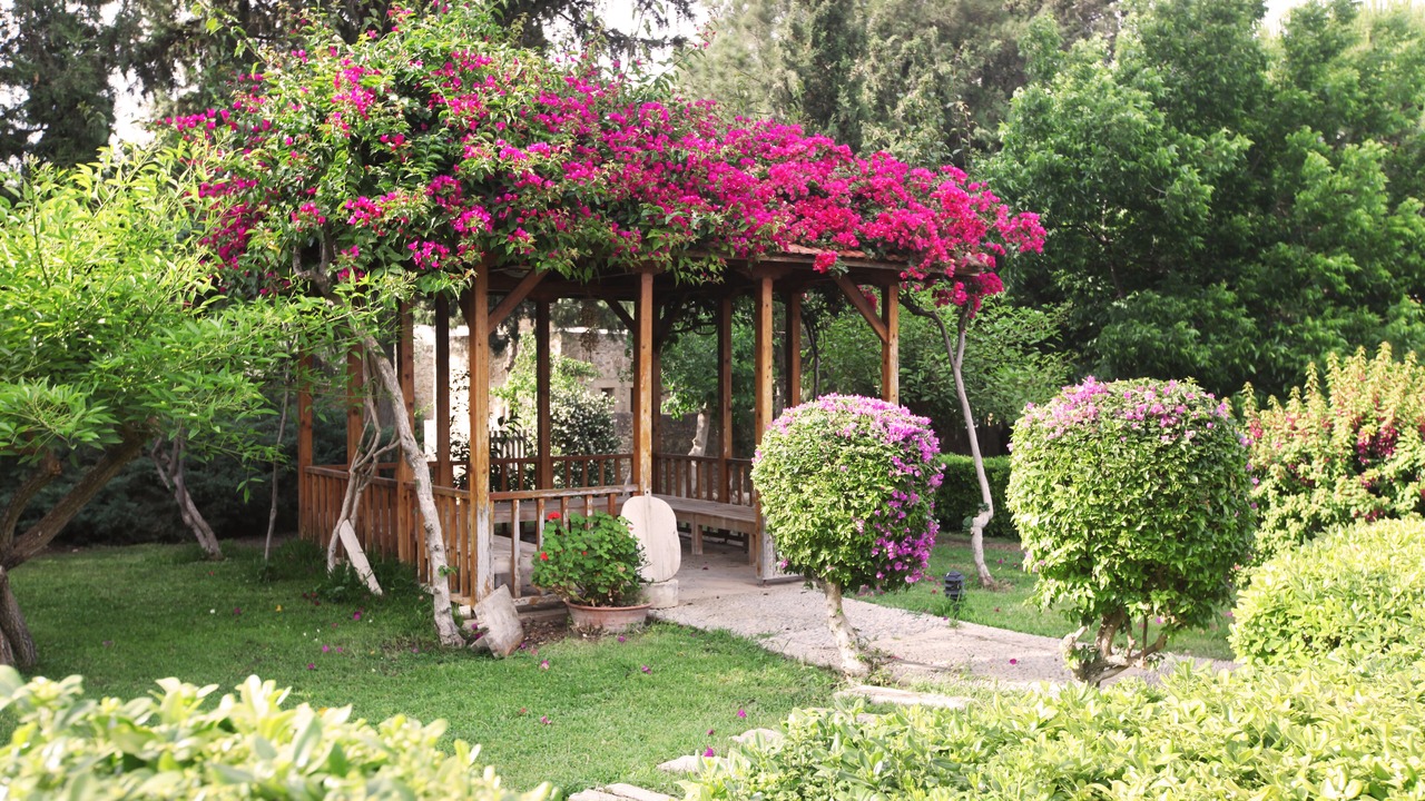 Photo of Outdoor in Datca