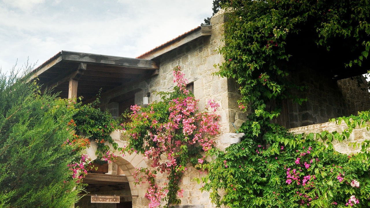 Photo of Outdoor in Datca