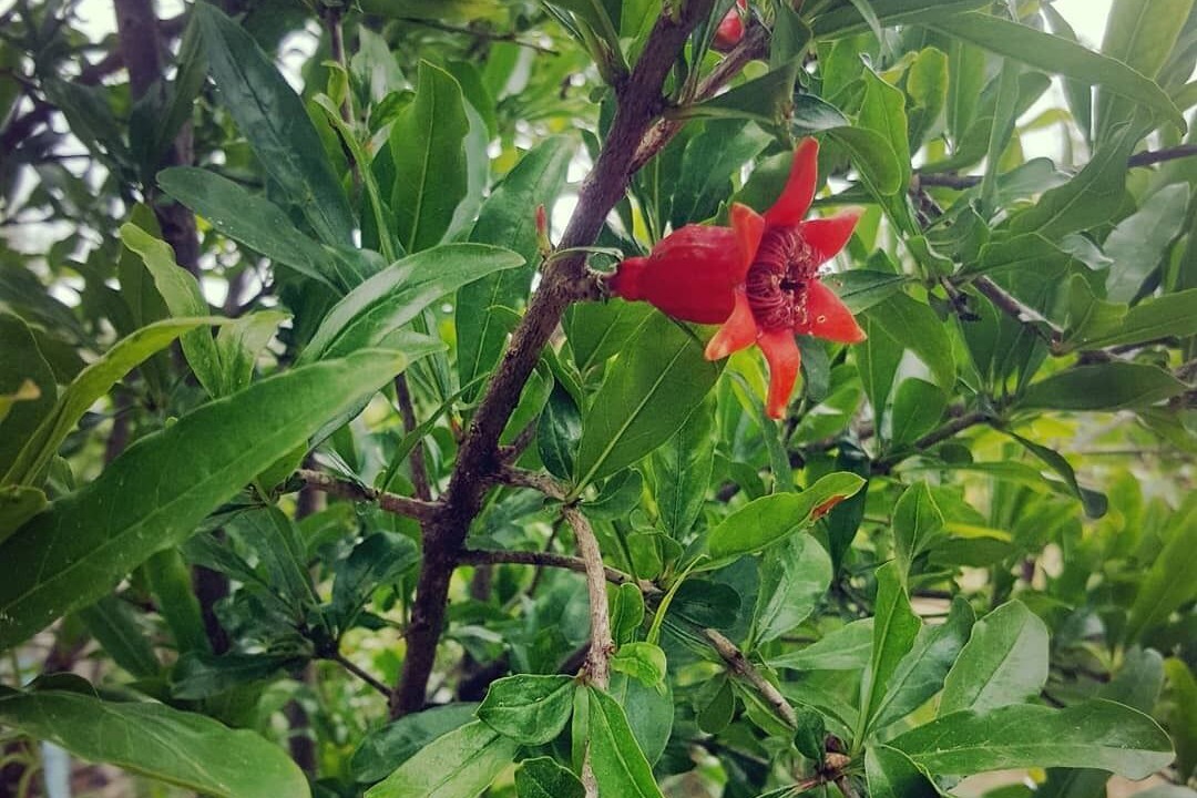 Photo of Outdoor in Patara