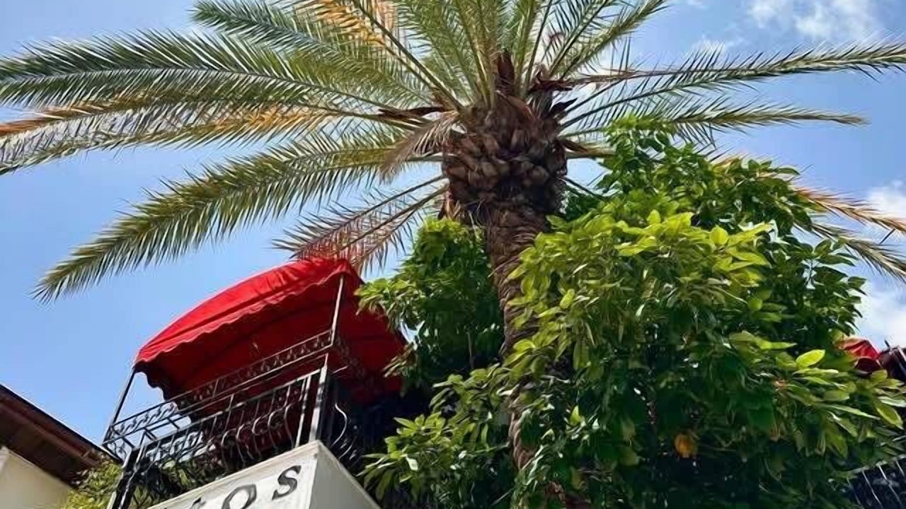 Photo of Outdoor in Icmeler City Center